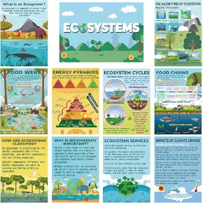 Pasimy 11 Pcs Science Posters for Classroom Ecosystems Teaching Poster Ecosystems Bulletin Board Biological Food Chain Bulletin Board for Classroom Decoration Teacher Middle High School Library Home