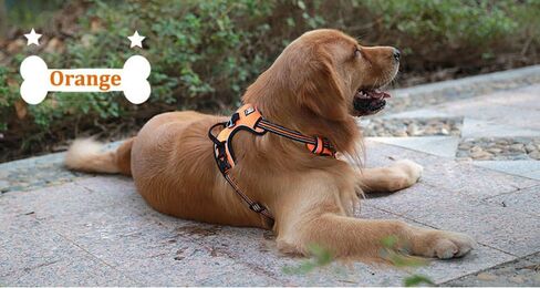 Chai's Choice Dog Harness Vest X Small (Chocolate) | Comfortable & Secure with Adjustable Strap Soft Padded Dog Vest | No-Choke & Easy Control Pet Oxford | 3M Reflective Stripes for Dog Visibility in Saudi Arabia