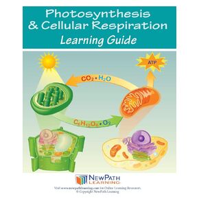 14-6726 Photosynthesis and Cellular Respiration Learning Guide, full color