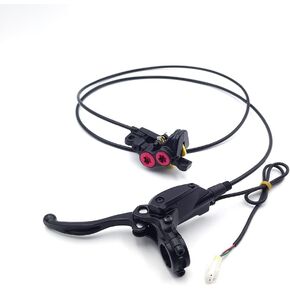 Rear Disc Brake Master Cylinder Caliper Pump Assembly Brake Lever Kit for SURRON Light-bee Off-Road Motorcycle (Rear Brake Pump Assembly Light-bee)