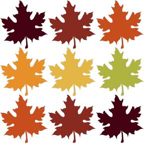 60PCS Fall Leaves Cutouts for Bulletin Board Decoration, 6 Colors Fall Autumn Maple Leaves Paper Cutouts for Thanksgiving Fall Autumn Classroom Bulletin Board Decorations Party Supplies in Kuwait