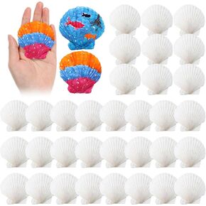 50 Pcs Sea Shell for Crafting Natural Large Scallop Shells White Oyster Shells Bulk for Decorating DIY Home Decor Beach Wedding Ocean Themed Party Baking Shells for Serving Food (2''-3'')