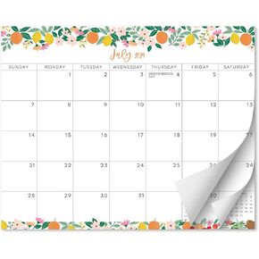 S&O Fruity 2025 Magnetic Fridge Calendar - Tear-Off Refrigerator Calendar to Track Events & Appointments - 18 Month Magnetic Calendar for Fridge for Easy Planning - 8"x10" in
