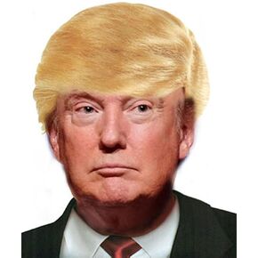 Donald Trump Billionaire Wig Adult Halloween Accessory