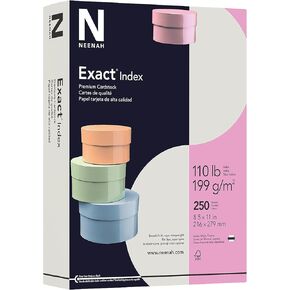 Wausau Exact Index Cardstock, 110 lb, 8.5 x 11 Inch, Pastel Gray, 250 Sheets (48598)