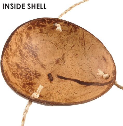 Beistle Novelty Coconut Bikini Top in Saudi Arabia
