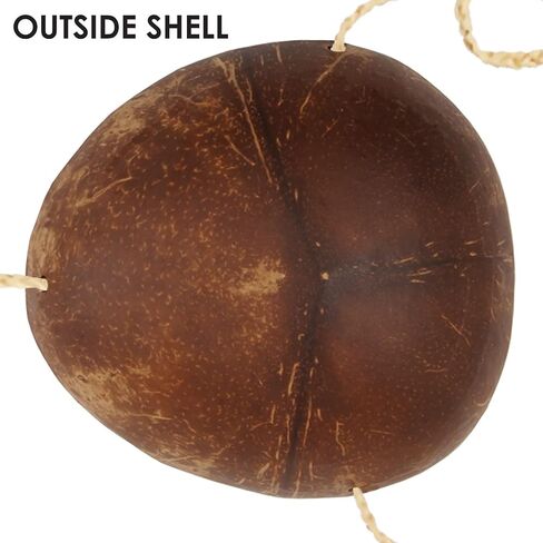 Beistle Novelty Coconut Bikini Top in Saudi Arabia