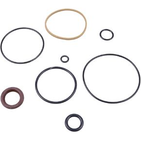 Trim Piston Repair Seal Kit 5005756 5007776 5008949 5008985 Compatible with 2004-2012 Evinrude ETEC 75-115hp ETEC