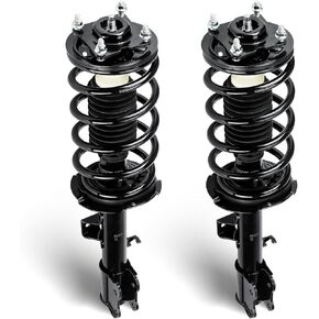 Front Struts Assembly w/Coil Spring Shock Absorber Compatible with 2001-2012 Ford Escape 2005-2011 Mercury Mariner 2001-2011 Mazda Tribute, Replace for 171593 171594