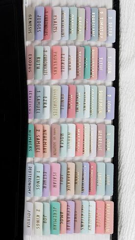 UPAFEXXI-Laminated Bible Tabs (Rose Gold Foil Embossed Lettering), Bible Tabs for Women and Men, Reposition Large Print Stickers, Easy to Read and Apply, 80Chapters Labels for Easy Navigation(Pink) in Saudi Arabia