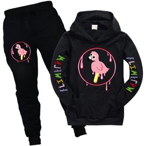 Kids Flamingo Merch Double Print Hooded Boys Flamingo Flim Flam Catoon Graphic Hoodie and Trousers Set