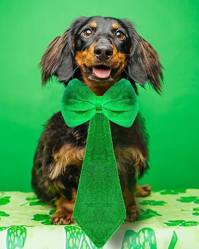 مجموعة إكسسوارات زي عيد القديس باتريك من QLINLEAF لحفلات الرقص الأيرلندية للهالوين in Kuwait