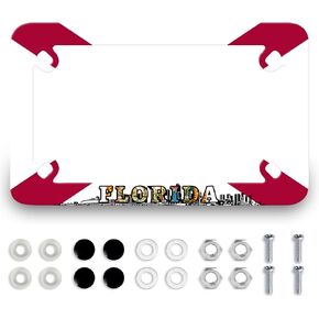 Motorcycle American Flag Eagle License Plate Frame Patriotic Eagle Stainless Steel Funny Motorbike License Plate Holder Waterproof Metal Black Tag Holder Motorcycle Accessory Decoration 7.7" x 4.5 "