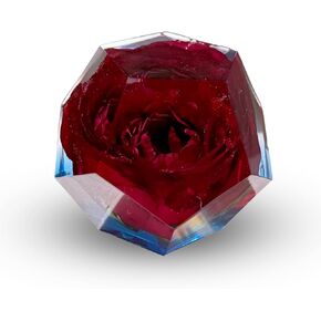 Eternal Flower Red Rose | Flower in Resin | Red Rose Preserved | Resin Crafts | Resin Art Figurines | Resin Souvenir | Paperweight (Red)