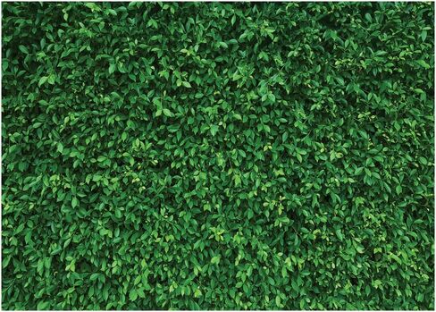 LYWYGG 5X3FT Green Leaves Photography Backdrops Mmicrofiber Nature Backdrop Birthday Background for Birthday Party Seamless Photo Booth Prop Backdrop CP-87-0503 in Kuwait