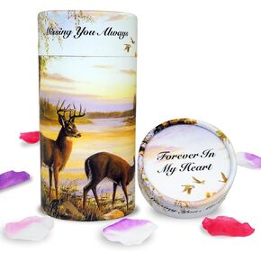 Set of 2 40 lbs Small ECO Scattering Tube Urn for Human Ashes, Biodegradable Decorative Spreading Cremation Urn for Adult Male Female Pet Dog Cat Ashes, Including ECO Artificial Flowers(Beach Sunset)