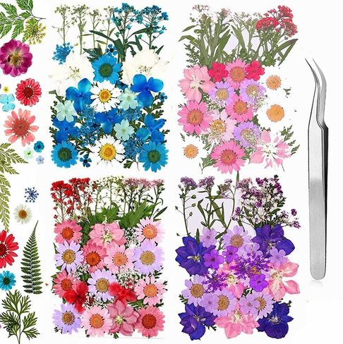 60 Pieces Don't Forget Me Dried Flowers, Dried Flower Real Dried Pressed Flowers for Jewelry Candle Card Making DIY Resin Ornaments Nail Art Flowers Decorations (Don't Forget Me) in Saudi Arabia
