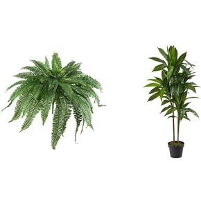 Nearly Natural 48IN Set of 2 Artificial Boston Ferns & 4ft Dracaena Plant with Real Touch Leaves for Home Décor