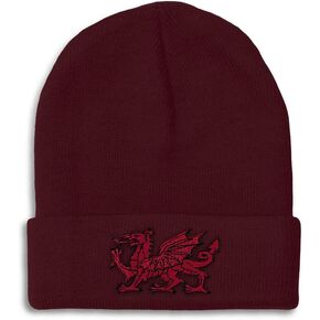 Beanies for Men Wales Flag Dragon Seal Embroidery Europe Winter Hats for Women Acrylic Skull Cap 1 Size