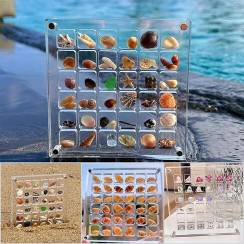 Acrylic Magnetic Seashell Display Box, Seashell Storage Box Display Case Decorative Seashell Starfish Trinket, Small Craft Organizers Container for Bead, Nail, Jewelry, Square-36 Grid in Saudi Arabia