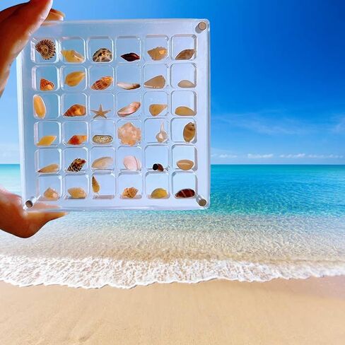 Acrylic Magnetic Seashell Display Box, Seashell Storage Box Display Case Decorative Seashell Starfish Trinket, Small Craft Organizers Container for Bead, Nail, Jewelry, Square-36 Grid in Saudi Arabia