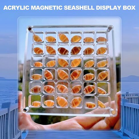 Acrylic Magnetic Seashell Display Box, Seashell Storage Box Display Case Decorative Seashell Starfish Trinket, Small Craft Organizers Container for Bead, Nail, Jewelry, Square-36 Grid in Saudi Arabia