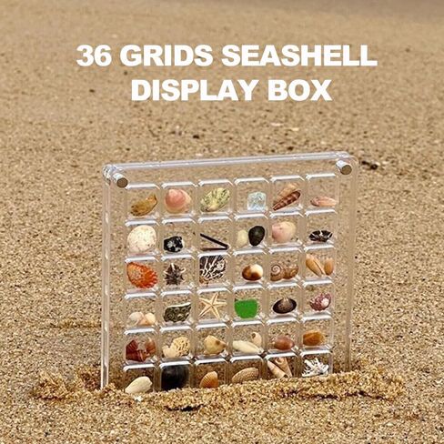 Acrylic Magnetic Seashell Display Box, Seashell Storage Box Display Case Decorative Seashell Starfish Trinket, Small Craft Organizers Container for Bead, Nail, Jewelry, Square-36 Grid in Saudi Arabia
