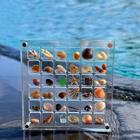 Acrylic Magnetic Seashell Display Box, Seashell Storage Box Display Case Decorative Seashell Starfish Trinket, Small Craft Organizers Container for Bead, Nail, Jewelry, Square-36 Grid in Saudi Arabia