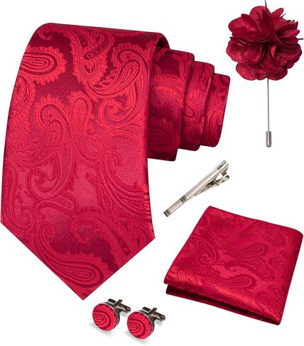 JEMYGINS Mens Paisley Tie and Pocket Square,Lapel Pin,Cufflinks,Tie Clip Sets with Gift Box 5PCS in Saudi Arabia