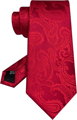 JEMYGINS Mens Paisley Tie and Pocket Square,Lapel Pin,Cufflinks,Tie Clip Sets with Gift Box 5PCS in Saudi Arabia