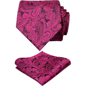 Alizeal Mens Paisley Tie Handkerchief Casual Floral Necktie Set