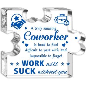 Coworker Goodbye Gifts for Ladies Women Men Adults Unique Farewell Leaving Job Gift Colleague Appreciation Inspirational Acrylic Paperweight Gift for Retirement Work Bestie Going Away Party Decor