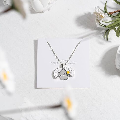 PANTIDE Christian Daisy Locket Necklace for Women - Be Still Engraved Faith Religious Necklace Inspirational Stainless Steel Jewelry Birthday Gift in Kuwait