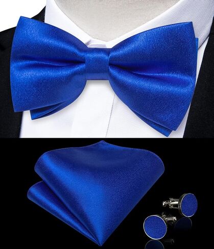 DiBanGu Men Ties Bowtie Set Satin Necktie Bow Tie and Pocket Square Cufflink Set for Men with Silver Tie Clip in Saudi Arabia