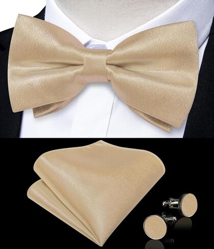 DiBanGu Men Ties Bowtie Set Satin Necktie Bow Tie and Pocket Square Cufflink Set for Men with Silver Tie Clip in Saudi Arabia