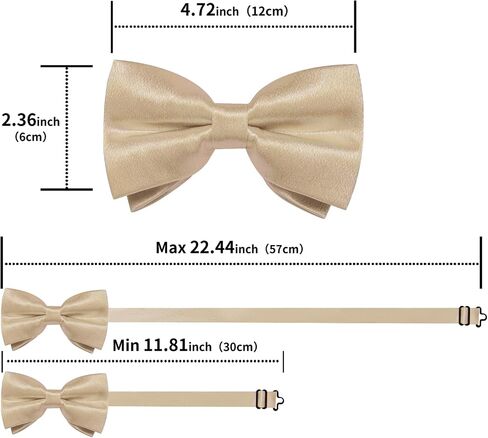 DiBanGu Men Ties Bowtie Set Satin Necktie Bow Tie and Pocket Square Cufflink Set for Men with Silver Tie Clip in Saudi Arabia