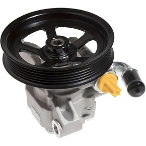 Power Steering Pump Compatible with 2008-2017 Buick Enclave Chevy Traverse GMC Acadia Saturn Outlook 3.6L V6