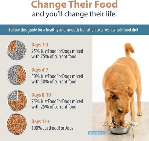 JustFoodForDogs طعام الكلاب الطازج المجمد للبشرة الحساسة والحساسية، صحة المفاصل، وجبة كاملة أو طعام للكلاب من الدرجة البشرية، دعم المفاصل والجلد، 18 أونصة (عبوة من 21 قطعة) in Kuwait
