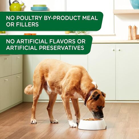 راشيل راي نوتريش أغذية الكلاب الرطبة الطبيعية الممتازة، مجموعة متنوعة من المأكولات المفضلة اللذيذة، حوض سعة 8 أونصة (عبوة من 6 قطع) in Kuwait