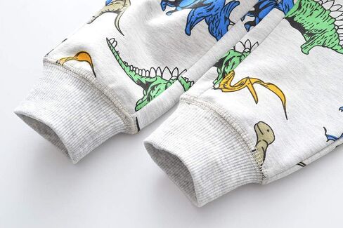 DDSOL Toddler Boys Outfit Dinosaur 2-Piece Long Sleeve Sweatshirt Top and Pant Playwear Set in Saudi Arabia