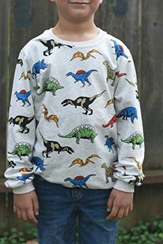 DDSOL Toddler Boys Outfit Dinosaur 2-Piece Long Sleeve Sweatshirt Top and Pant Playwear Set in Saudi Arabia