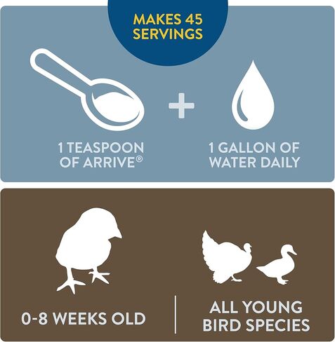 FlockLeader Recover 911، إلكتروليت بروبيوتيك أوريجانو، مكمل للإجهاد الشديد لقطيع الدجاج، 8 أونصة in Kuwait