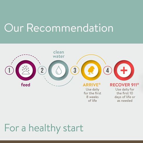 FlockLeader Recover 911، إلكتروليت بروبيوتيك أوريجانو، مكمل للإجهاد الشديد لقطيع الدجاج، 8 أونصة in Kuwait