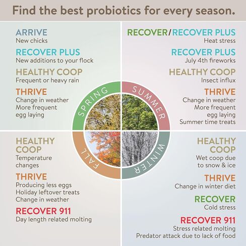 FlockLeader Recover 911، إلكتروليت بروبيوتيك أوريجانو، مكمل للإجهاد الشديد لقطيع الدجاج، 8 أونصة in Kuwait