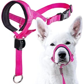 GoodBoy Dog Head Halter with Safety Strap - Stops Heavy Pulling On The Leash - Padded Headcollar for Small Medium and Large Dog Sizes - Head Collar Training Guide Included (Size 3, Blue)