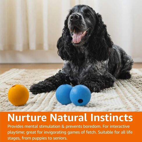 Amazon Basics Interactive Bouncy Durable Rubber Dog Toy Balls, 2.5 inch, Multi-Color Blue/Orange, Pack of 10 in Kuwait