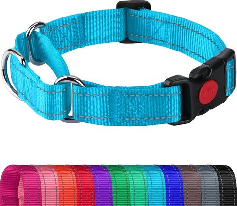 Joytale Martingale Collar for Dogs, Escape Proof No Pull, Hotpink, M in Saudi Arabia