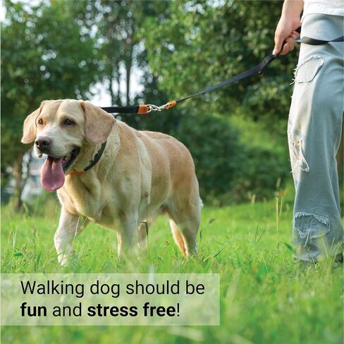SVD.PET طوق مسنن للكلاب للتدريب على عدم السحب، طوق قابل للتعديل بإبزيم سريع التحرير للكلاب الكبيرة (أبيض، حجم كبير) in Kuwait