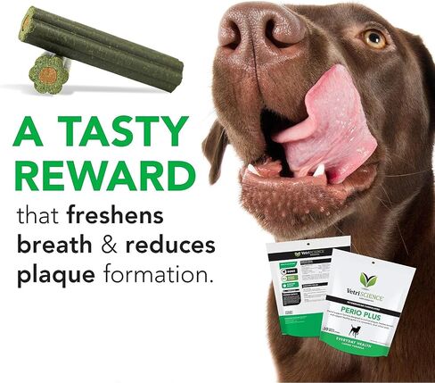 VetriScience Healthy Mouth Dog Dental Powder, Perio Support Clinically Tested Dental Powder for Dogs and Cats, Freshen Breath, Control Plaque & Tartar, Oral Health, 4.2 oz in Saudi Arabia