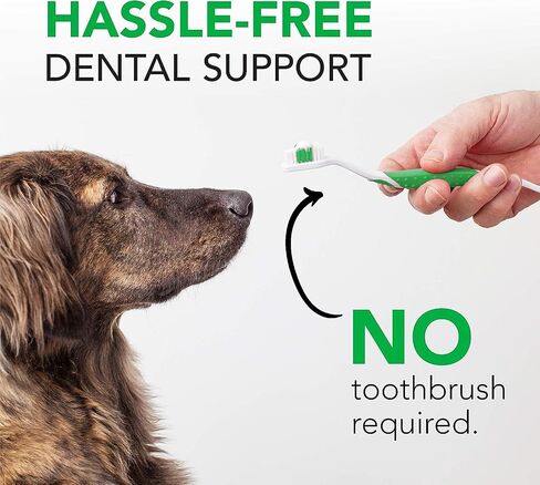VetriScience Healthy Mouth Dog Dental Powder, Perio Support Clinically Tested Dental Powder for Dogs and Cats, Freshen Breath, Control Plaque & Tartar, Oral Health, 4.2 oz in Saudi Arabia